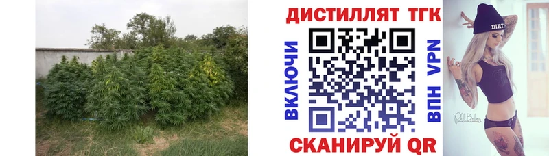 сайты даркнета формула  даркнет сайт  Инза  ТГК жижа 