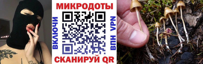 Псилоцибиновые грибы прущие грибы  Инза 